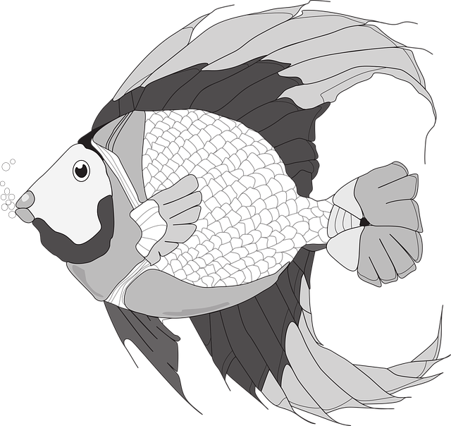 Free download Fish Illustration Black And - Free vector graphic on Pixabay free illustration to be edited with GIMP free online image editor