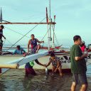 Fishing boats docked  screen for extension Chrome web store in OffiDocs Chromium