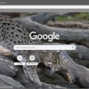 Fishing Cat  screen for extension Chrome web store in OffiDocs Chromium