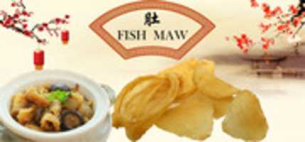 Free download Fish Maw Banner free photo or picture to be edited with GIMP online image editor