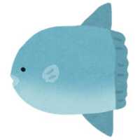 Free download fish_mola2 free photo or picture to be edited with GIMP online image editor