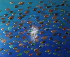 Gratis download Fish Paintings gratis foto of afbeelding om te bewerken met GIMP online afbeeldingseditor
