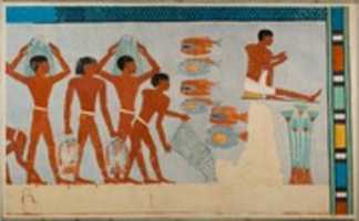 Free download Fish Preparation and Net Making, Tomb of Amenhotep free photo or picture to be edited with GIMP online image editor