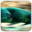 Fishy  screen for extension Chrome web store in OffiDocs Chromium
