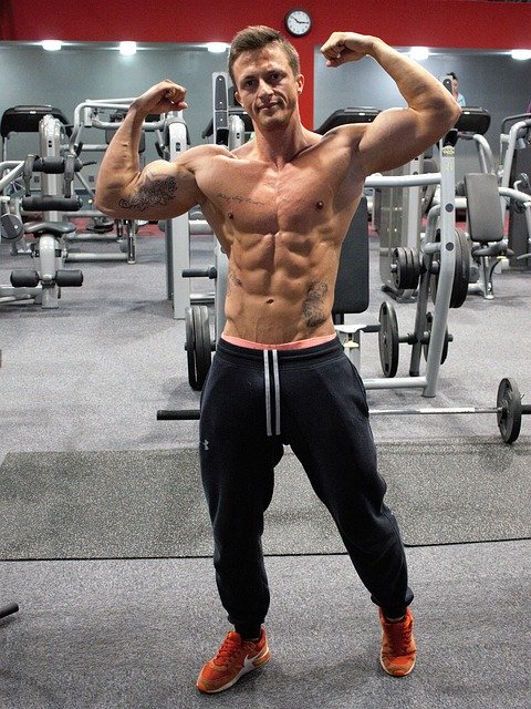 Free download fitness strengthening muscles man free picture to be edited with GIMP free online image editor