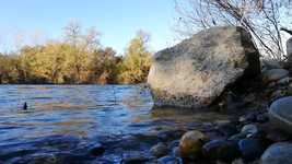 Скачать бесплатно Fiume Ticino Acqua Piante - бесплатное видео для редактирования с помощью онлайн-редактора видео OpenShot