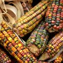 Five colored corn  screen for extension Chrome web store in OffiDocs Chromium