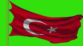 Free download Flag 3D Model Green Screen -  free video to be edited with OpenShot online video editor