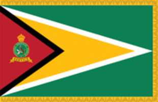 Free download Flags of the Guyana Defence  and Police Forces  free photo or picture to be edited with GIMP online image editor