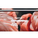 flamingo  screen for extension Chrome web store in OffiDocs Chromium