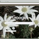 Flannel Flower  screen for extension Chrome web store in OffiDocs Chromium
