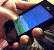 Free download flappybird free photo or picture to be edited with GIMP online image editor