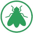 Flies  screen for extension Chrome web store in OffiDocs Chromium