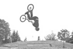 Free download Flippin Dexty free photo or picture to be edited with GIMP online image editor