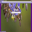 Floral  screen for extension Chrome web store in OffiDocs Chromium