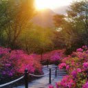 Floral Pathway at Sunrise  screen for extension Chrome web store in OffiDocs Chromium