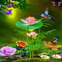 Flower and butterfly wallpapers  screen for extension Chrome web store in OffiDocs Chromium