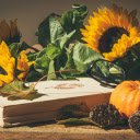 Flower and fruitbook  screen for extension Chrome web store in OffiDocs Chromium