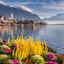 Flower bank  screen for extension Chrome web store in OffiDocs Chromium