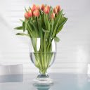Flower cup  screen for extension Chrome web store in OffiDocs Chromium