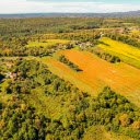 flower fields and forests  screen for extension Chrome web store in OffiDocs Chromium