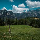 flower gardens and mountains  screen for extension Chrome web store in OffiDocs Chromium