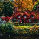 Flower house and bridge  screen for extension Chrome web store in OffiDocs Chromium