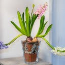 Flower pot and three flower branches  screen for extension Chrome web store in OffiDocs Chromium