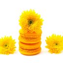 Flowers and cake  screen for extension Chrome web store in OffiDocs Chromium