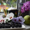 Flowers and Fruits  screen for extension Chrome web store in OffiDocs Chromium