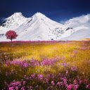 Flowers and mountains turn white  screen for extension Chrome web store in OffiDocs Chromium