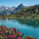 Flowers bloom by the lake  screen for extension Chrome web store in OffiDocs Chromium