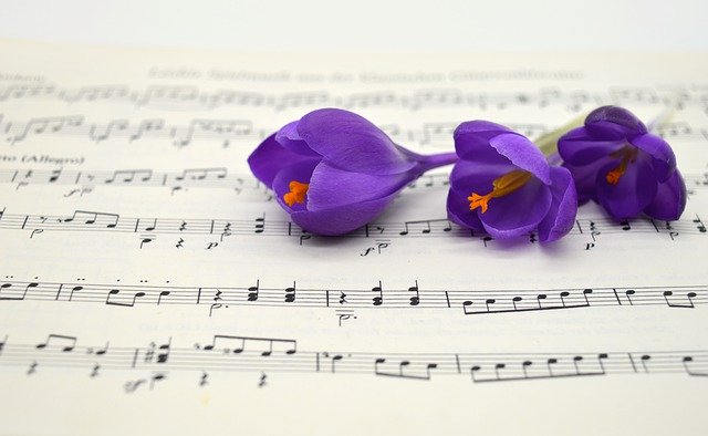 Free download flowers crocuses sheet music violet free picture to be edited with GIMP free online image editor