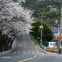 flower season street  screen for extension Chrome web store in OffiDocs Chromium