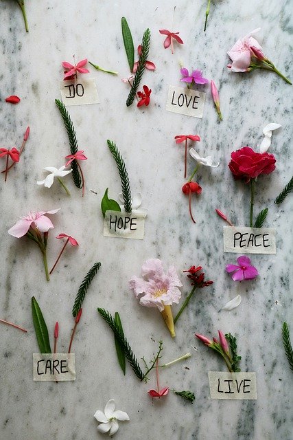 Free download flowers leaves background love free picture to be edited with GIMP free online image editor