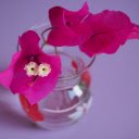 Flowers within flowers  screen for extension Chrome web store in OffiDocs Chromium