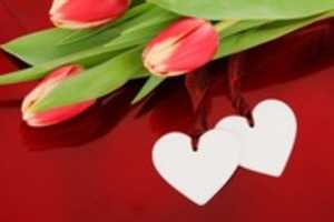 Free download Flowers With Love free photo or picture to be edited with GIMP online image editor
