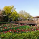 Flower viewing hut  screen for extension Chrome web store in OffiDocs Chromium