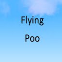 Écran Flying Poo pour l'extension Chrome Web Store dans OffiDocs Chromium