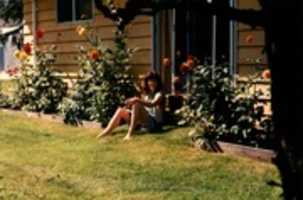 Free download Flynn in June, 1989, in Haney free photo or picture to be edited with GIMP online image editor