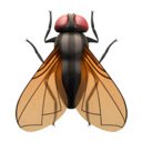 Fly on the Screen  screen for extension Chrome web store in OffiDocs Chromium