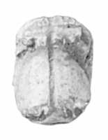 Free download Fly-shaped seal free photo or picture to be edited with GIMP online image editor