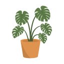 Focus Garden Block Websites and Focus More  screen for extension Chrome web store in OffiDocs Chromium