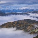 Foggy mountain forest  screen for extension Chrome web store in OffiDocs Chromium
