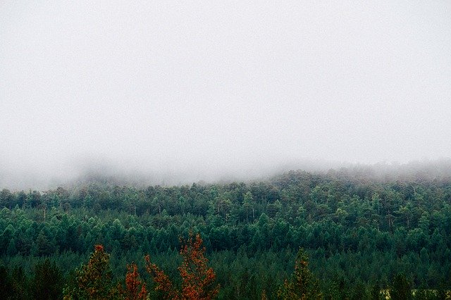 Free download fog mountains forest autumn house free picture to be edited with GIMP free online image editor