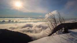 Free download Fog Sea Of Mood -  free video to be edited with OpenShot online video editor