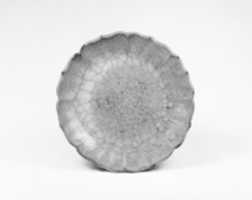 Free download Foliate Dish free photo or picture to be edited with GIMP online image editor