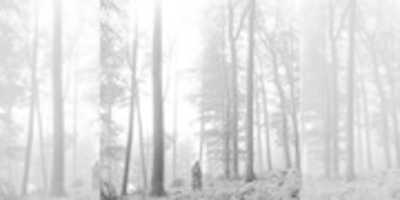Free download Folklore (2020) free photo or picture to be edited with GIMP online image editor