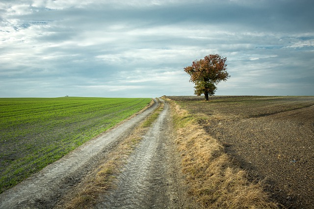 Descărcare gratuită follow whine go imagine gratuită pentru a fi editată cu editorul de imagini online gratuit GIMP