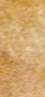 Free download Fondo Beige  free photo or picture to be edited with GIMP online image editor